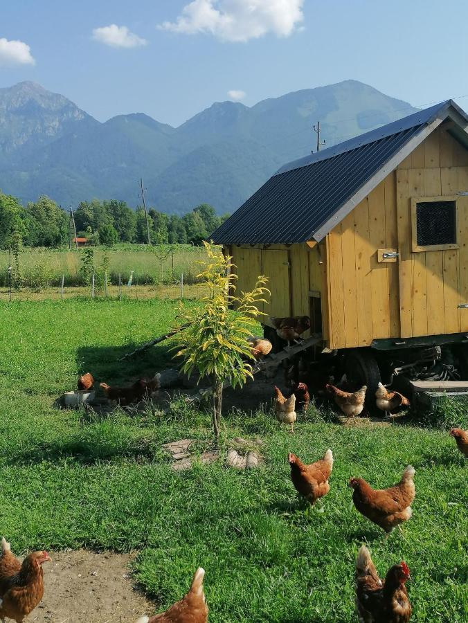 Hotel Glamping Mohorjev Grunt Preddvor Zewnętrze zdjęcie